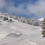 Apartment Forest Cosy House - Amazing View *