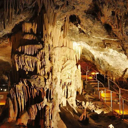 Lejlighed Forest Cosy House - Amazing View *