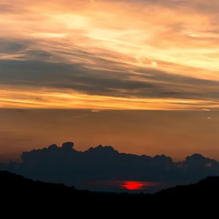 Forest Cosy House - Amazing View Apartman