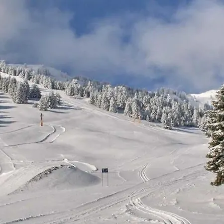 Appartement Forest Cosy House - Amazing View *
