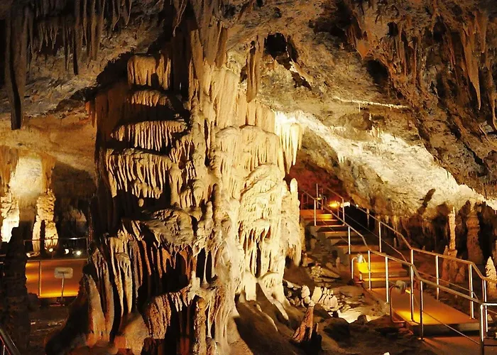 Апартаменты Forest Cosy House - Amazing View *