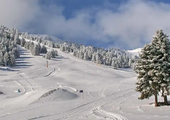 Appartamento Forest Cosy House - Amazing View *
